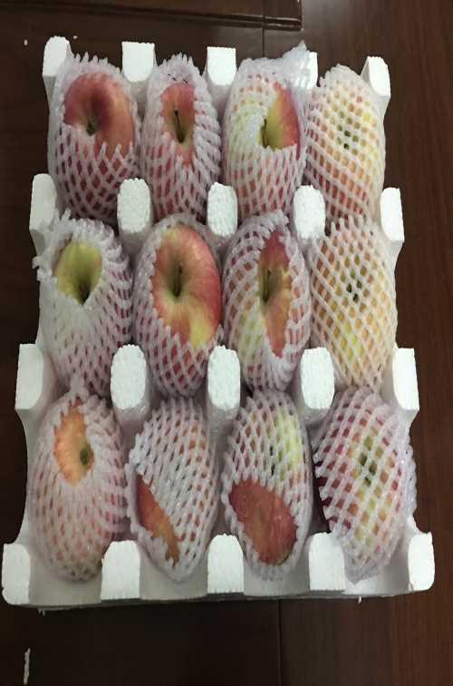 泡沫水果包装箱厂家_水果包装箱供应商相关-陕西华亨工贸有限责任公司