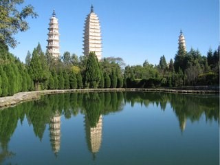 西双版纳旅游_中国苗木信息网