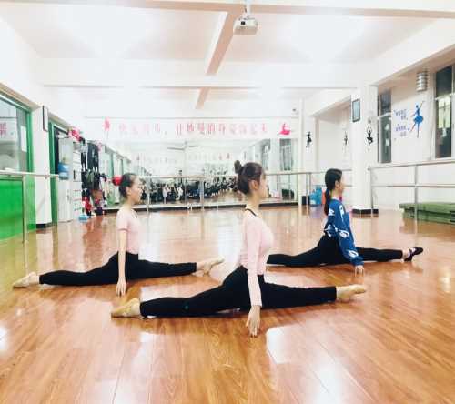 芭蕾舞蹈培训_其他教育、培训