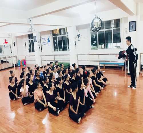 中国古典舞蹈编导_现代其他教育、培训鉴赏