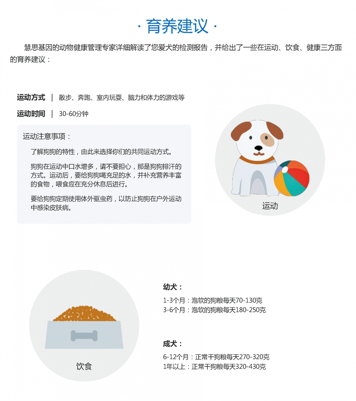 北京宠物狗基因检测机构_狗狗项圈相关