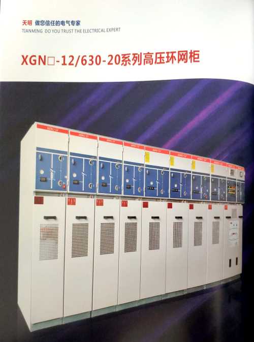 XGN-12 630-20系列高压环网柜_高压环网柜