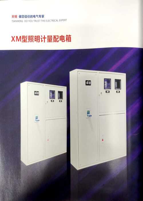 XM型照明计量配电箱_电表箱