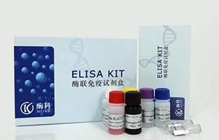 大鼠ELISA试剂盒规格_elisa试剂盒相关-上海琛艺实业有限公司