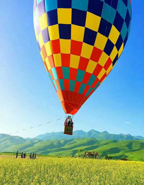 临沂畅飞翔热气球运动有限公司_热气球飞艇动力伞出租