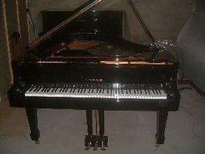 河南迪士尼钢琴多少钱_其他乐器