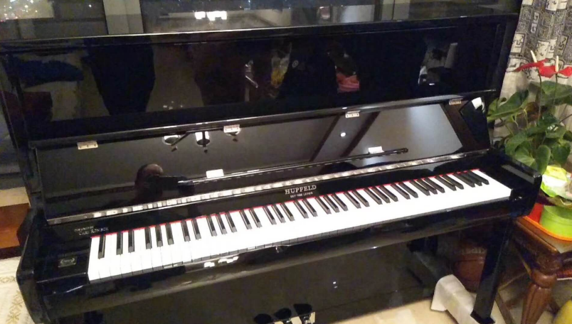 安阳佩卓夫罗瑟钢琴可以打几折_捷克键盘类乐器-河南欧乐钢琴之家
