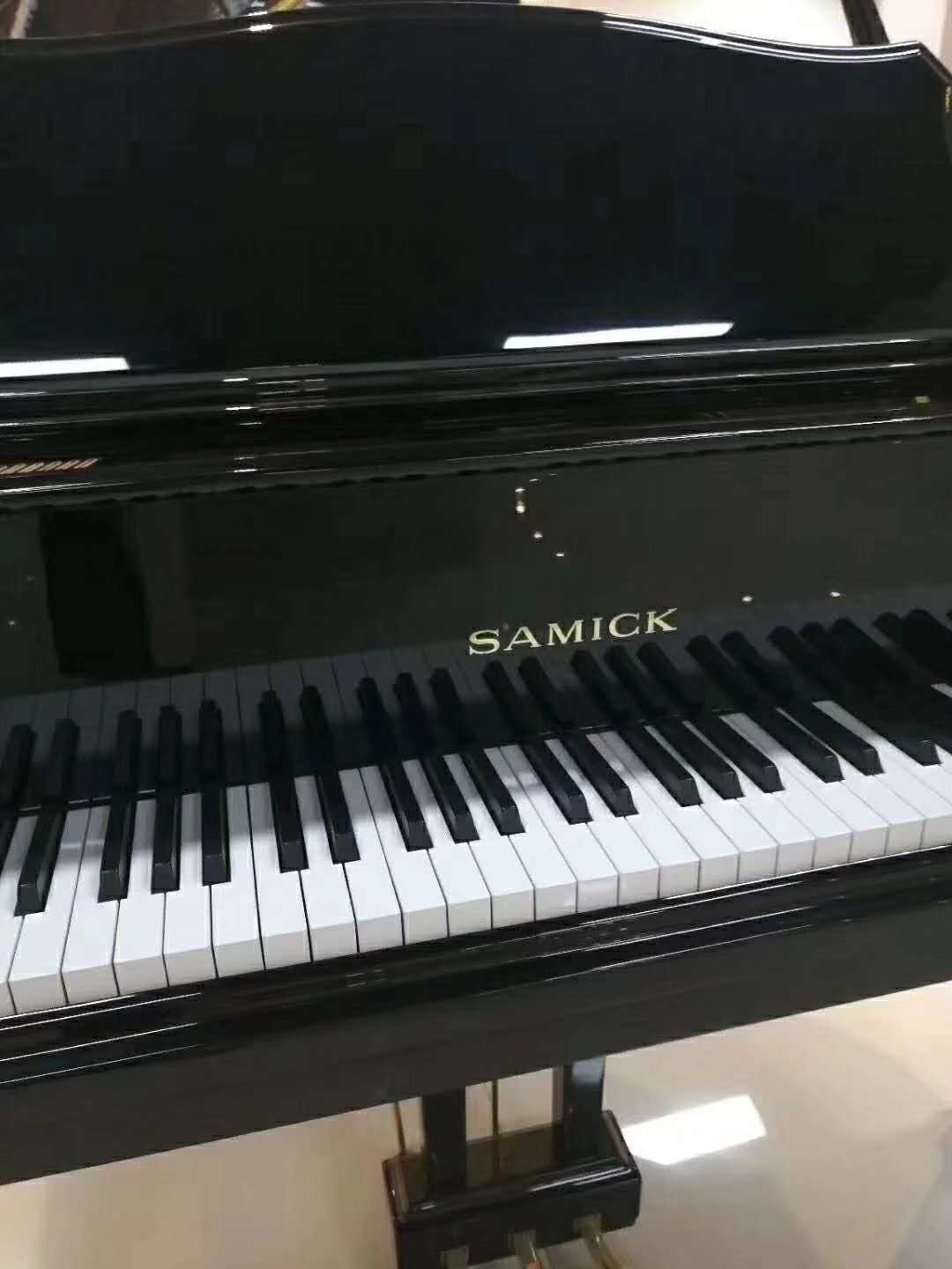 安阳赛乐尔钢琴ED专卖店_键盘类乐器-河南欧乐乐器有限公司