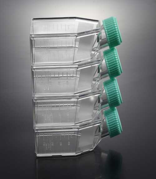 250ml滤膜盖一次性细胞培养瓶_细胞培养瓶