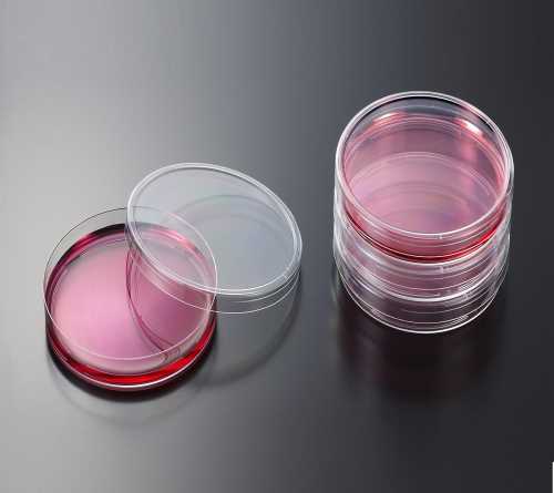 15厘米细菌培养皿材质_植物培养皿相关