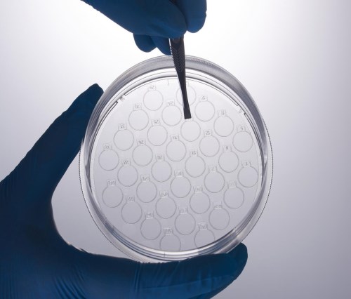 透明培养皿材质_透明其他实验室用品多少钱