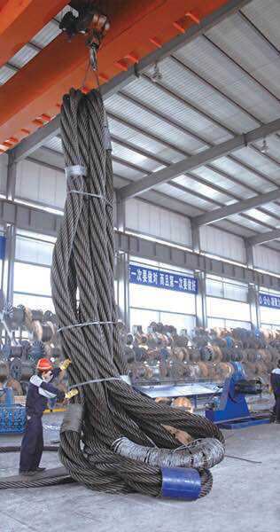 防护钢丝绳索具价格_注塑加工-泰州市高港区利奇吊索具有限公司