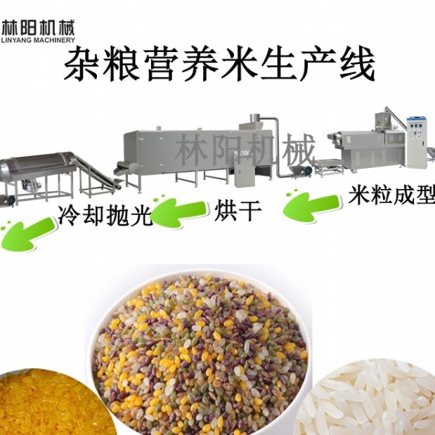营养米生产线_黄金米营养米杂粮米生产设备