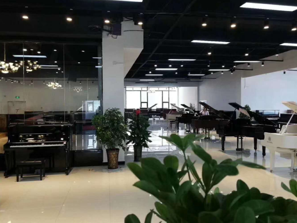 河南三益柯纳比钢琴专卖店_韩国键盘类乐器练习钢琴-河南欧乐乐器有限公司