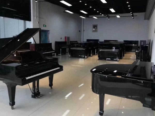 晋城佩卓夫罗瑟钢琴批发价格_电钢琴相关-河南欧乐乐器有限公司