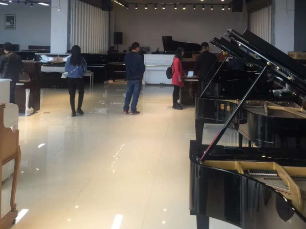 陕西珠江钢琴批发团购价格_手卷钢琴相关-河南欧乐乐器有限公司