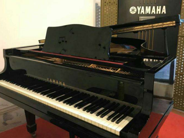 珠江钢琴多少钱_格莱美钢琴实体店相关-河南欧乐乐器有限公司