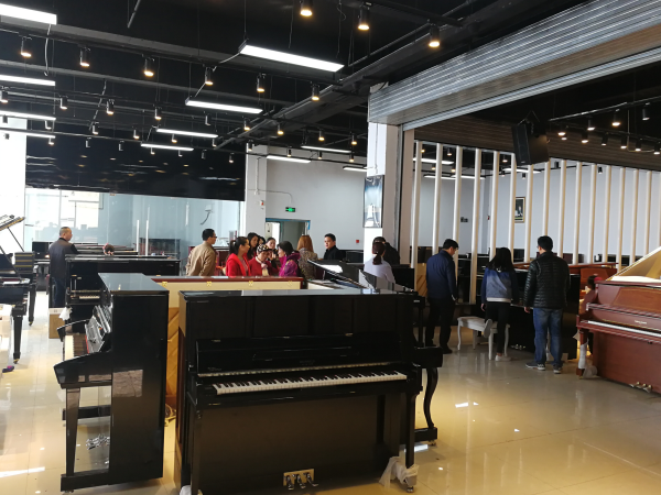 郑州钢琴品牌排行榜_家用其他乐器价格-河南欧乐乐器有限公司