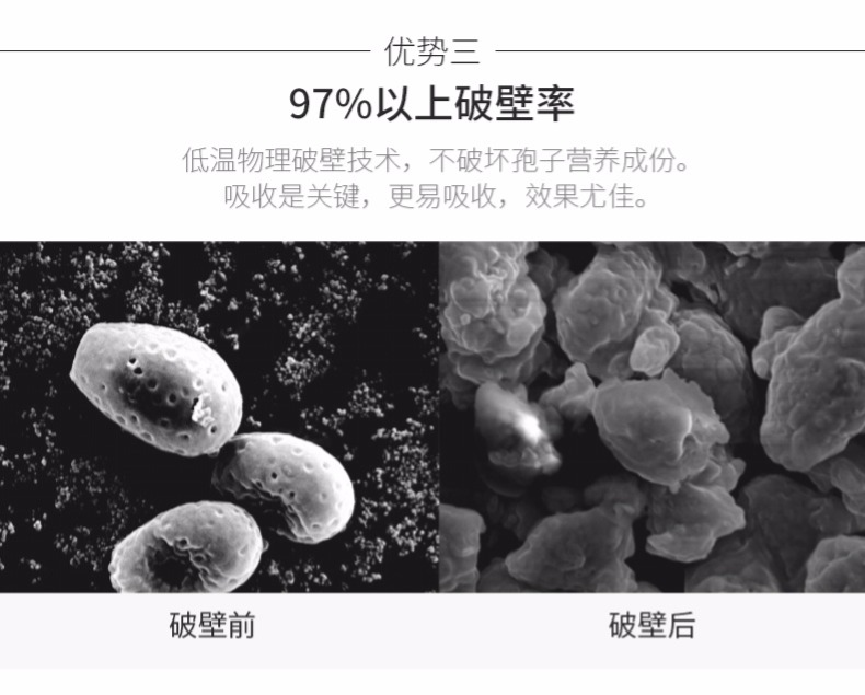 正规破壁灵芝孢子粉生产商_其他食用菌-北京富元康灵生物科技有限公司