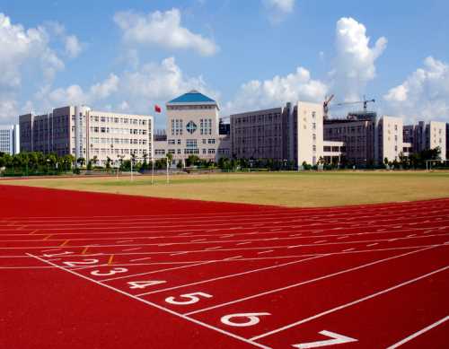 透气型塑胶跑道图片_学校塑胶跑道相关-安徽正奥体育设施有限公司