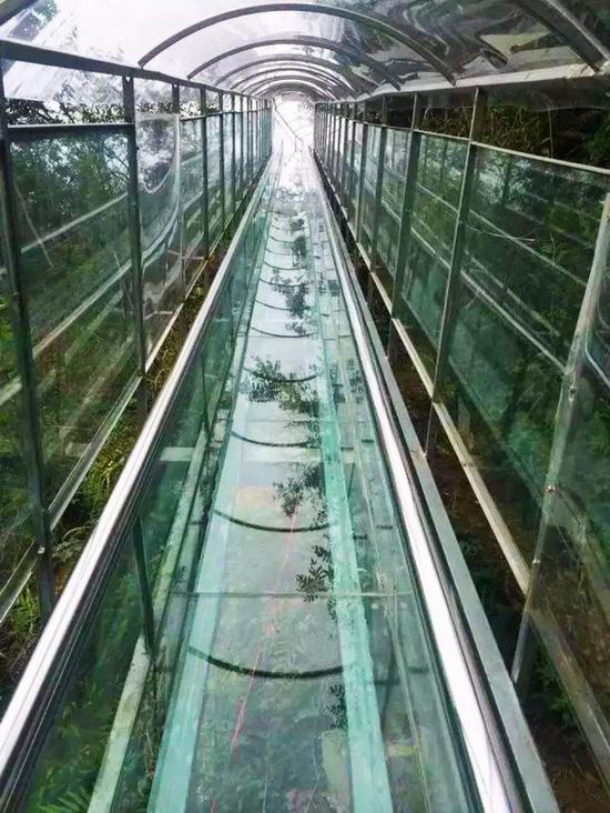 海南承建玻璃滑道公司_玻璃滑道好不好相关-河南亚森旅游开发有限公司