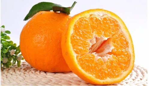 四川耙耙柑厂家_味道好的柑桔、橙、柚-成都海聚通商贸有限公司