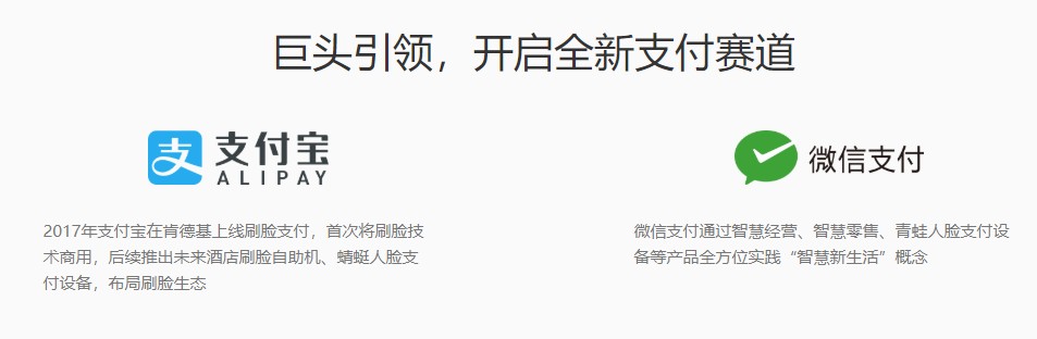 江门微信扫脸支付项目代理_支付宝行业专用软件项目加盟-郑州泰成通信服务有限公司
