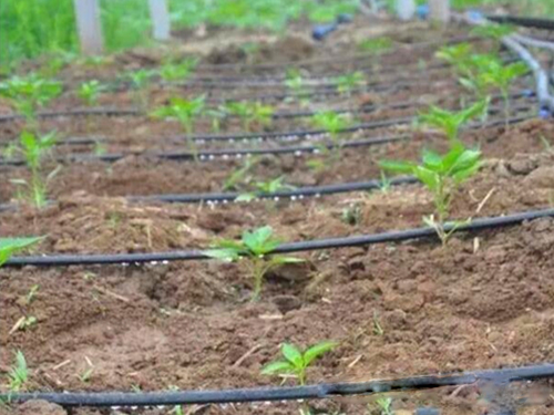 高效节水灌溉系统_节水滴灌带相关-长沙市登科园林工程有限公司