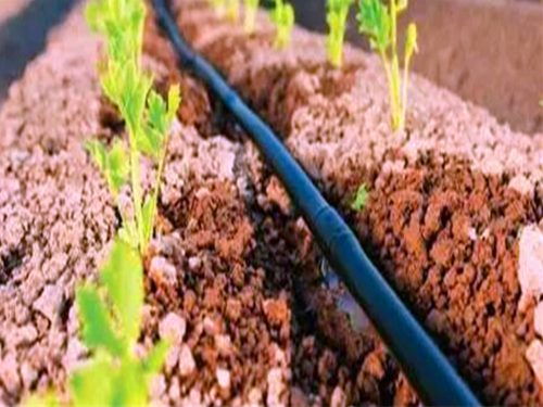 大棚蔬菜灌溉设备_口碑好的温室、大棚系统-长沙市登科园林工程有限公司