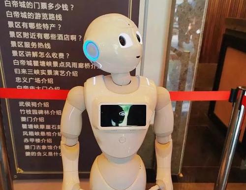 服务机器人_人形机器人