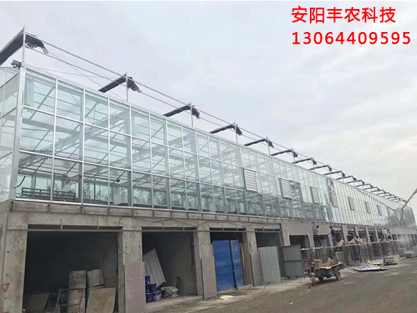 海南玻璃连栋温室建设-安阳市丰农科技服务有限公司