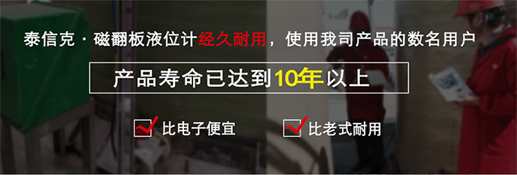 上海智能磁翻板液位仪哪家便宜_磁翻板液位计相关-河南泰信克仪表技术有限公司