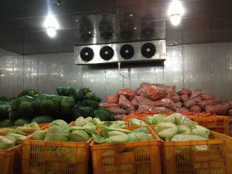 质量好蔬菜冷库推荐_昆明换热、制冷空调设备厂家-云南益邦制冷设备有限公司