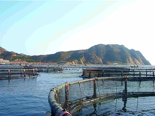 我们推荐渔网渔具批发_渔网生产厂家相关-沅江市福利渔网加工厂