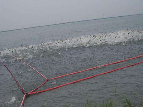 我们推荐捕鱼抬网_充气抬网多少钱相关-沅江市福利渔网加工厂
