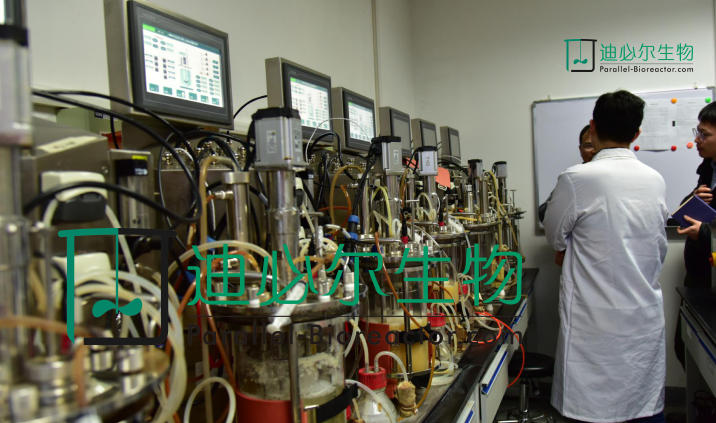 质粒表达_大规模其他制药设备工艺-迪必尔生物工程（上海）有限公司