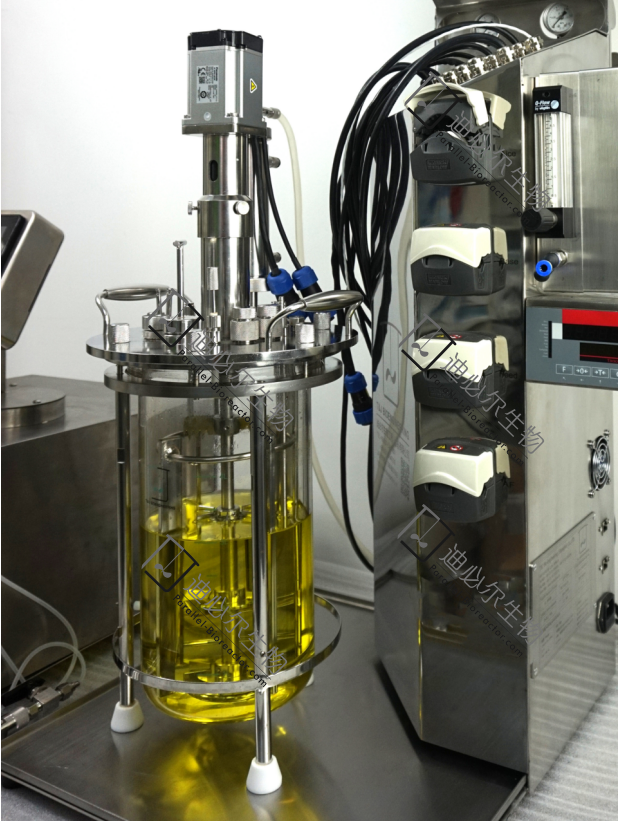 国产细胞培养生物反应器_Applikon其他制药设备反应器-迪必尔生物工程（上海）有限公司