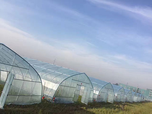 立体草莓大棚搭建-长沙市绿地棚业有限公司