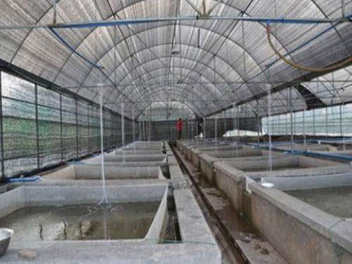 建造草莓大棚_专业温室、大棚厂家-长沙市绿地棚业有限公司
