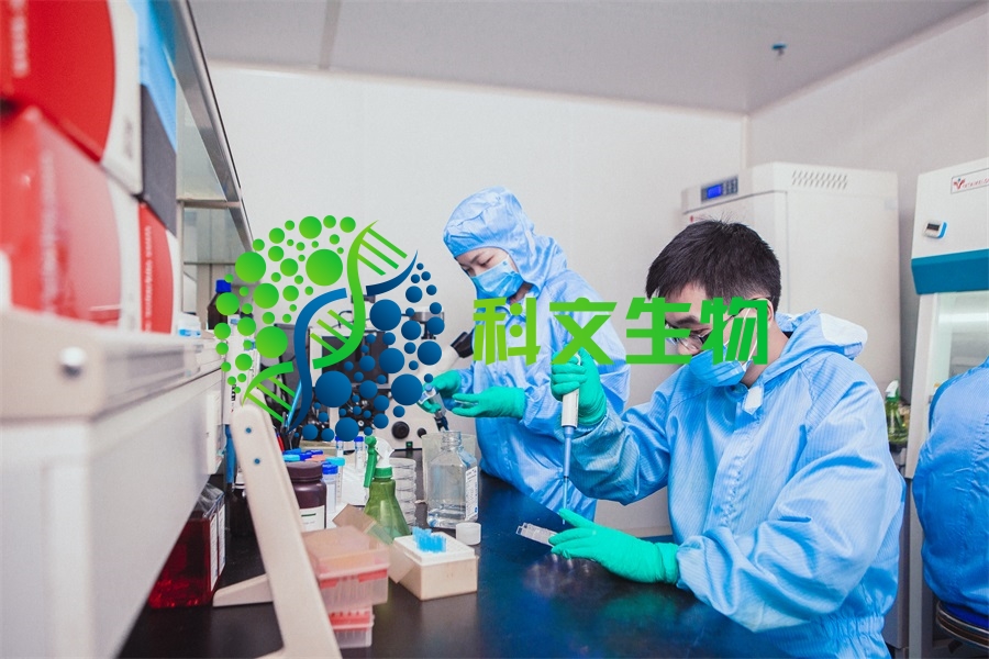 高品质分子克隆_基因克隆技术培训机构相关-长沙科文生物科技有限公司
