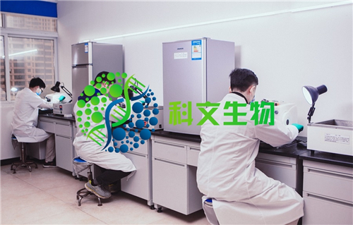 原代肝细胞培养实验_进口其他生物制品报价-长沙科文生物科技有限公司