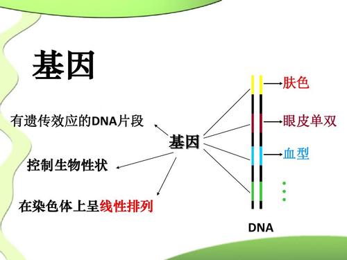 我们推荐质粒dna提取实验_试剂盒提取dna相关-长沙科文生物科技有限公司