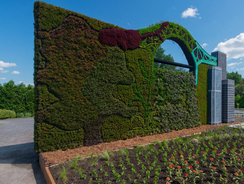 植物墙制作_真植物墙相关-昆明植格花卉有限公司