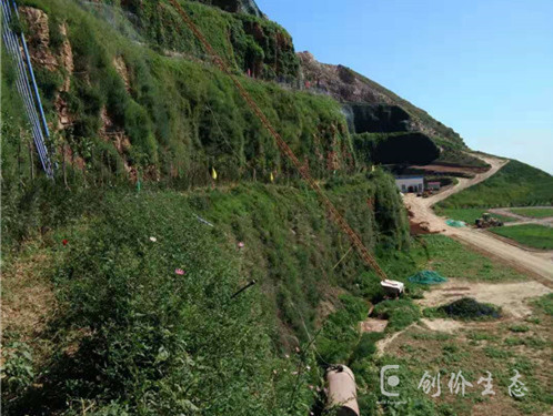 高陡边坡绿化施工方案_边坡复绿工程相关-湖南创价生态园林有限公司
