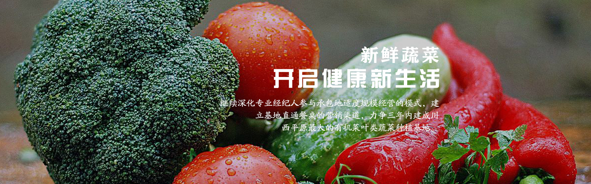 有机蔬菜招商平台_脱水蔬菜相关-成都市录超农业有限责任公司