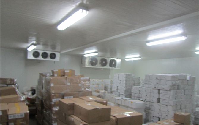 小型冷库设备安装设计公司_大型-长沙顺丰制冷设备有限公司