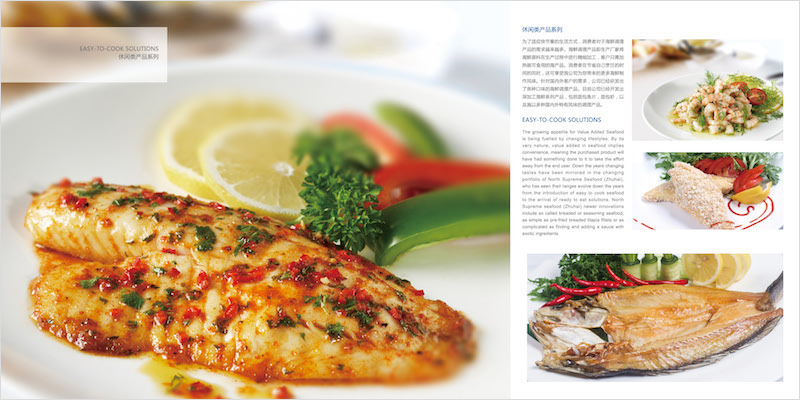 产品画册设计印刷_平面设计-珠海雨阳广告有限公司