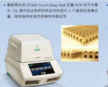 CFX96 Touch实时荧光定量PCR仪_荧光定量PCR仪