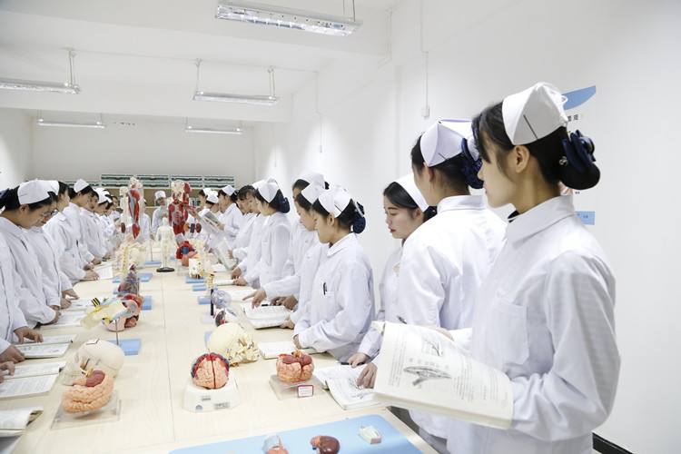 护理学专业学校哪个好_质量好医药项目合作-湖南电子科技职业学院
