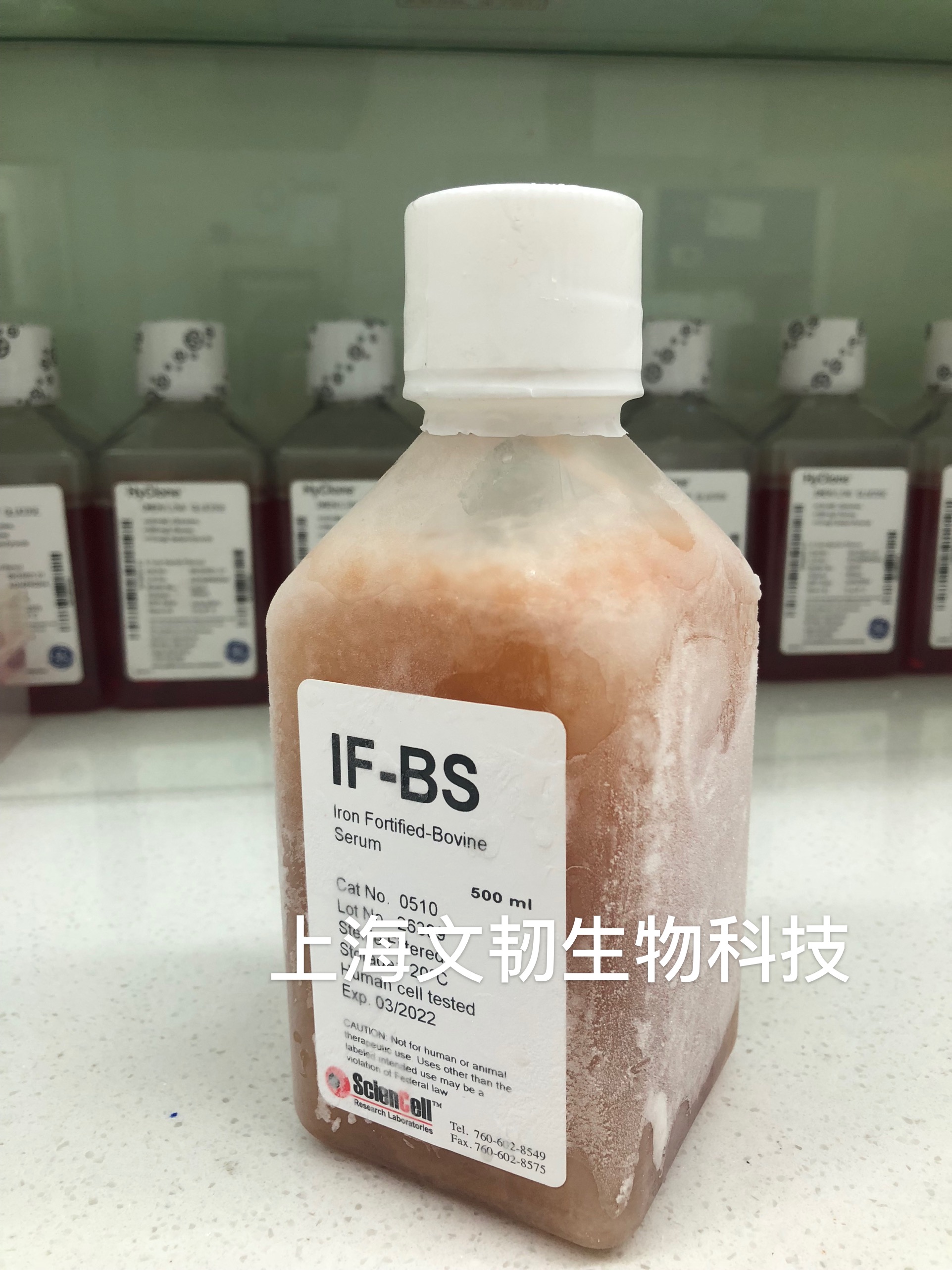 原装胎牛血清_提供生化试剂-上海文韧生物科技有限公司